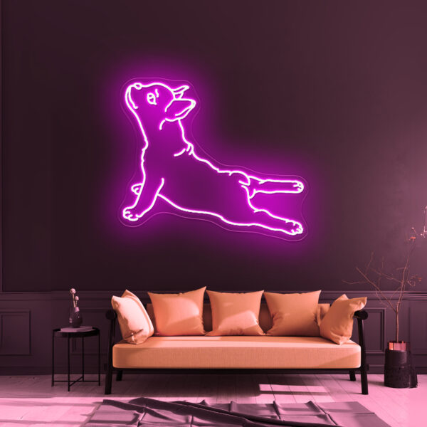 Dog Led - Image 13