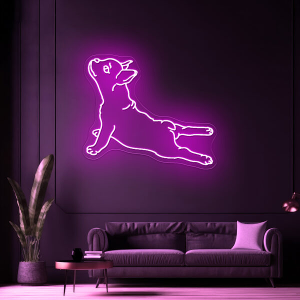 Dog Led - Image 4