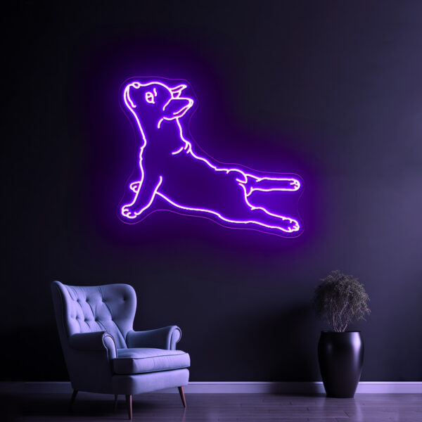 Dog Led - Image 2
