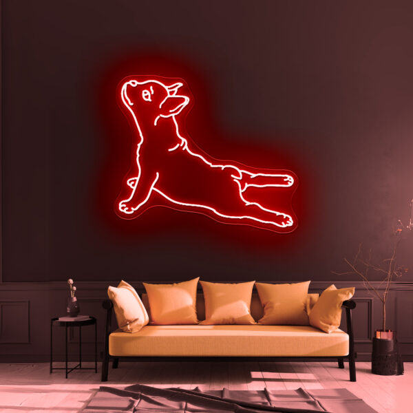 Dog Led - Image 5