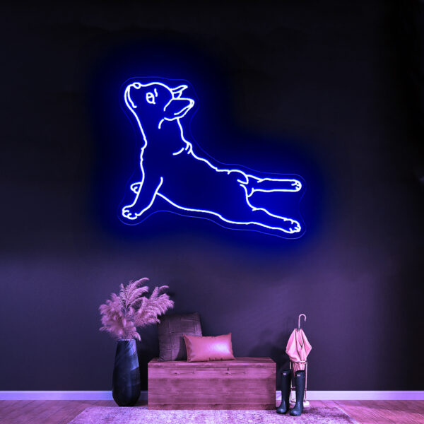 Dog Led - Image 8