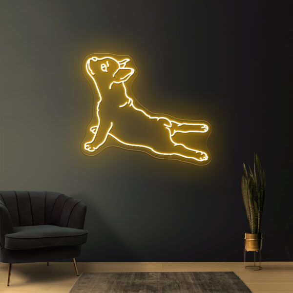 Dog Led - Image 7
